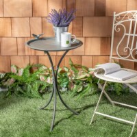 Safavieh PAT5025B Kensi Bird Bath, Ant Grey
