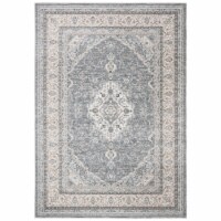 SAFAVIEH Isabella Collection ISA919F Grey / Cream Rug 4 X 6