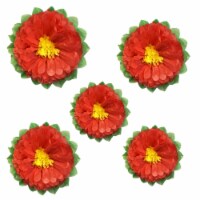 Wrapables Set of 5 Tissue Flower Pom Poms Party Decorations, Melon