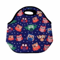 Wrapables Insulated Neoprene Lunch Bag, Rainbow Owls