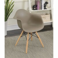 Furniture of America Ashton Plastic Dining Arm Chair in Light Brown (Set of 2)