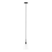 Beacon 1-Light Pendant Light, Clear Black