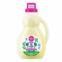 Dapple® Baby Laundry Detergent Fragarance-Free Perspective: Main