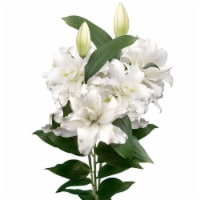 P&F Roselily Box