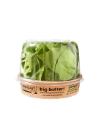 OrganicGirl Big Butter Lettuce Head