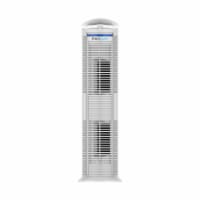 ENVION Medium Room Light HEPA Air Purifier w/Handle & 3 Fan Speeds