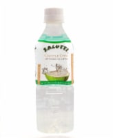 Salutti® Coconut Pulp with Aloe Drink Beverage Perspective: Main