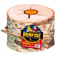 Light 'n Go Bonfire Log Perspective: Main