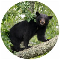 Andreas JO-BL Bear with Leaves Jar Opener - 3 Pack