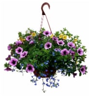 Flower Hanging Basket - 10 inch Perspective: front