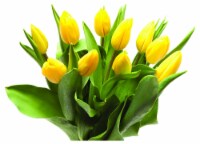 Fresh Cut Tulips Perspective: Main
