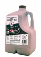 Chaney's® Whole Chocolate Milk Perspective: Main
