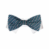 Pooch Outfitters PALB-XXL Alex Bow Tie, Blue - 2XL