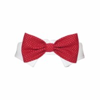 Pooch Outfitters PCBB-XXL Christian Bow Tie, Red - 2XL