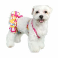 Pooch Outfitters PSMB-XXS ST Martin Bikinis, Pink - 2XS