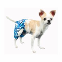 Pooch Outfitters PMST-XXS Malibu Swim Trunk, Blue - 2XS