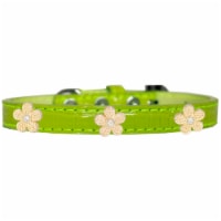 Gold Flower Widget Croc Dog Collar Lime Green Size 10