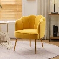 Accent Chairs in Velvet for Home or Office Use
