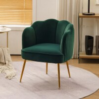 Accent Chairs in Velvet for Home or Office Use