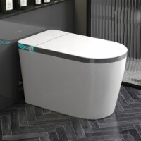 Toilets & Bidets in Ceramic for Home or Office Use