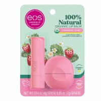 Eos 100% Natural & Organic Lip Balm Set Strawberry Sorbet 0.39 oz 2 Per Pack Perspective: Main