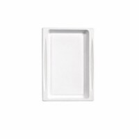 PacknWood  Sugarcane Tray- Pack Of 100
