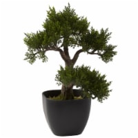 15 inch Cedar Bonsai Perspective: Main