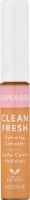 Covergirl Clean Fresh 370 Medium Tan Hydrating Concealer Perspective: Main