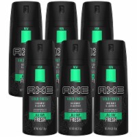 Axe Fresh Iced Mint & Leather Deodorant Body Spray 4oz - 6 Pack