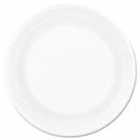 Dart Concorde Non-Laminated Foam Plates 9