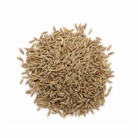 Cumin Seeds - 4oz