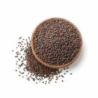 Whole Mustard Seeds - 1 Lb