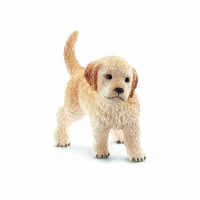 Golden Retriever puppy Perspective: Main