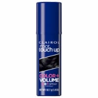Clairol Color + Volume 2in1 Black Temporary Root Touch Up Spray Perspective: Main