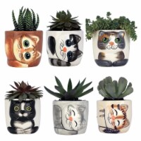 Window Garden 6 Mini 3  Kitty Pots - Cute Cat Planter Pot for Succulents