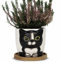 Window Garden Large Oreo Cat Planter for Indoor Plants & Flowers