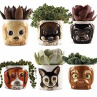 Window Garden Puppy Pots - 6 Mini Succulent Kitty Pots - Cat Decor Vase for Plants