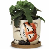 Window Garden Large Kitty Pot (Tigger) - Animal Planters, Purrfect for Indoor Plants
