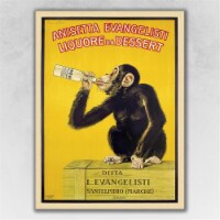 HomeRoots  24 x 32 in. Anisetta Evangelisti Italian Liquor Multi Color Wall Art Print