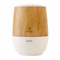 electronic diffuser