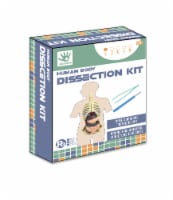 We Charm Kids Human Body Dissection Kit Perspective: Main