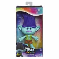 Hasbro Trolls World Tour Branch Doll Perspective: Main