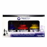 Daler-Rowney Aquafine Watercolor Ink Set, 3-Color Starter Set