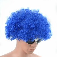 Blue Curly Afro Wig Fancy Dress Party Costume Accessory Disco Clown Unisex 70s