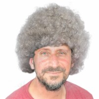 SILVER CURLY AFRO WIG FANCY DRESS PARTY COSTUME ACCESSORY DISCO CLOWN  70S