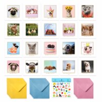 Cute Animal Birthday Cards Multipack - 20 Pack Assortment - For Men Women Boys Girls Him Her