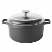 BergHOFF 10-Inch Cast Aluminum Covered Stock Pot