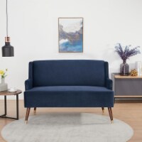 Phoenix Velvet Loveseat: Luxurious Comfort with Chic Metallic Accents - Soft Touch Velvet