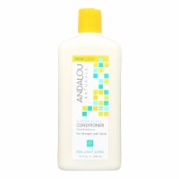 Andalou Naturals Brilliant Shine Conditioner Sunflower and Citrus - 11.5 fl oz