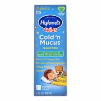 Hyland's - 4kids Cold'n Mucus Nighttime- EA of 1-4 FZ
